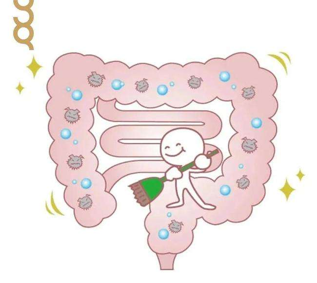 灵芝草的用处是什么，灵芝草的用处是什么作用（这句话有没有道理）