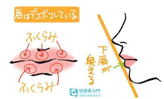 卡通牙齿是怎么画的，牙齿介绍卡通图片（漫画人物嘴巴画法技巧）