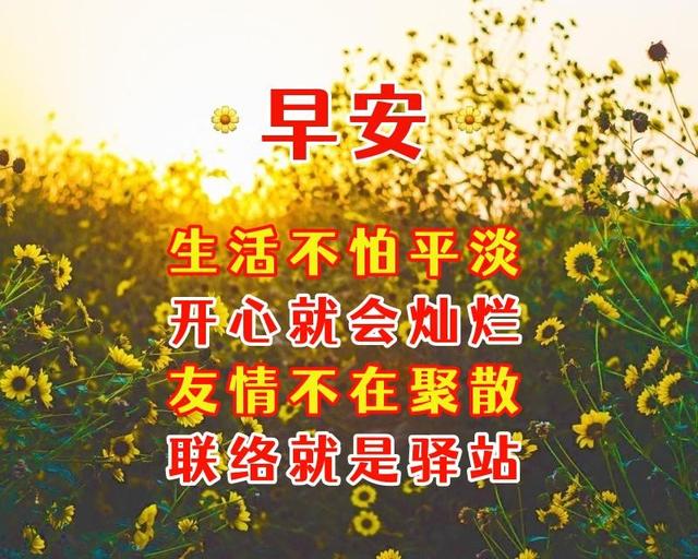 希望你开心的句子，5月29日周日早安暖心话语