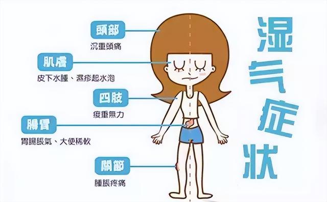 头皮臭臭的怎么回事，为什么头皮臭是怎么回事（爱出油、口臭、应该怎么调理）