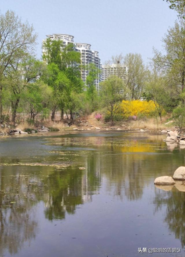 秦皇岛-金海湾森林公园