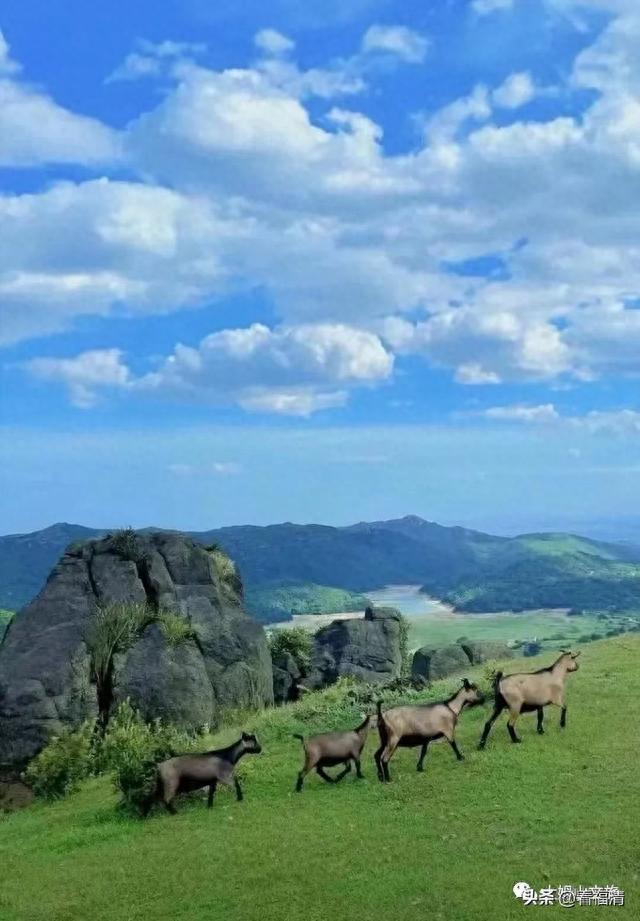 这个夏天，去大姆山吹吹风~