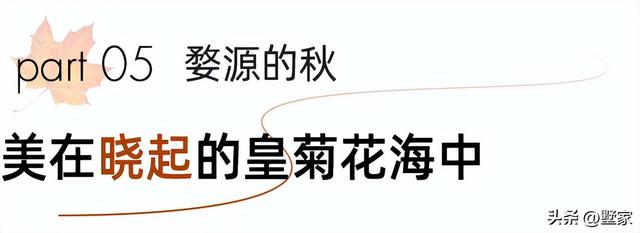 游玩攻略江西婺源景区，徽州秋天里的人间烟火