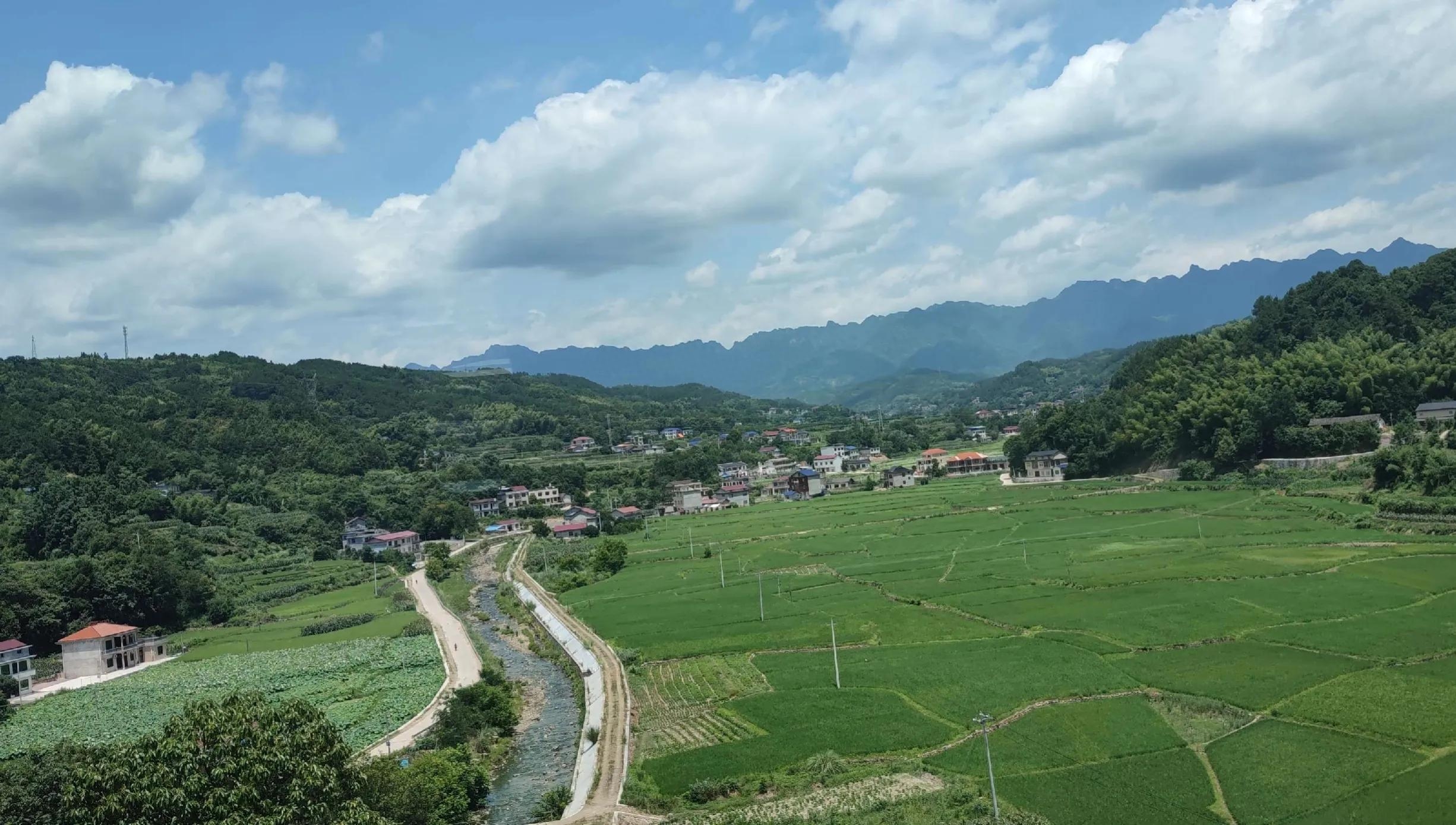 张家界地貌是什么类型（张家界世界地质公园的景观类型）