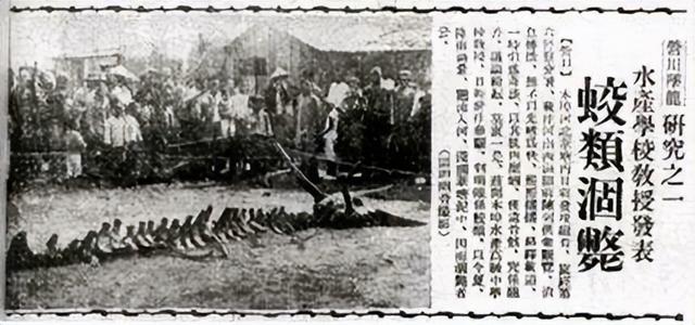 世界上有没有龙，世界上有龙吗（看来西游记等故事都不是编造的）