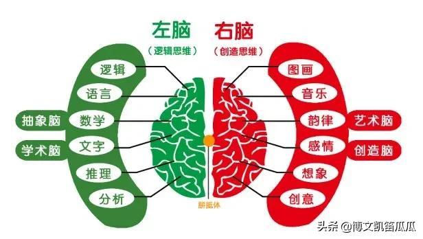 声乐的分类，声乐分几种类型（博文凯笛艺术瓜瓜谈音乐教育——音乐之美）