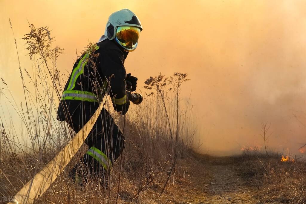 应急预案的层次可分为哪三类，应急预案分为哪三类（石家庄发布新修订的森林草原火灾应急预案）