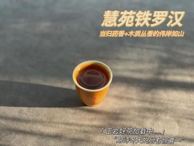 铁罗汉是什么茶，铁罗汉茶属于什么茶（不识慧苑老丛铁罗汉）