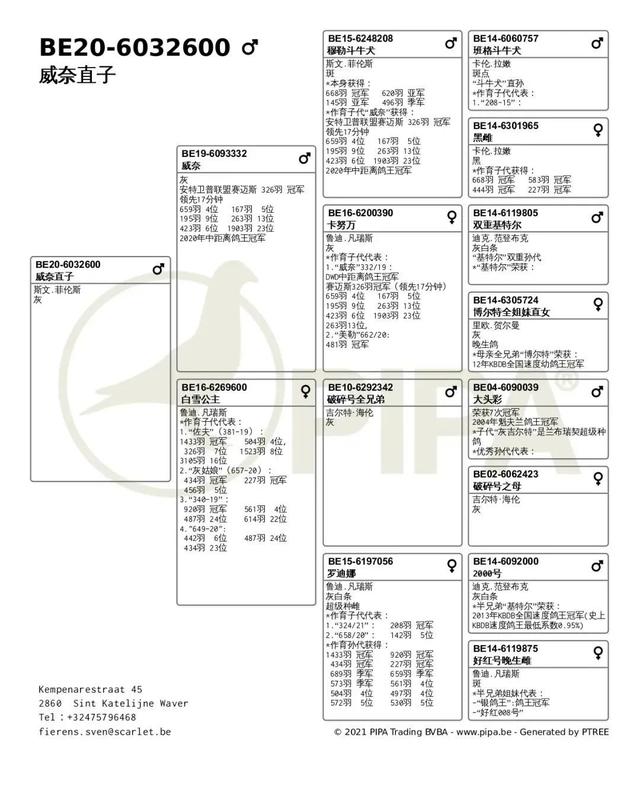 白雪公主出自哪里，白雪公主出自哪里故事（欧洲强豪优秀血统融合的“威奈直子”）