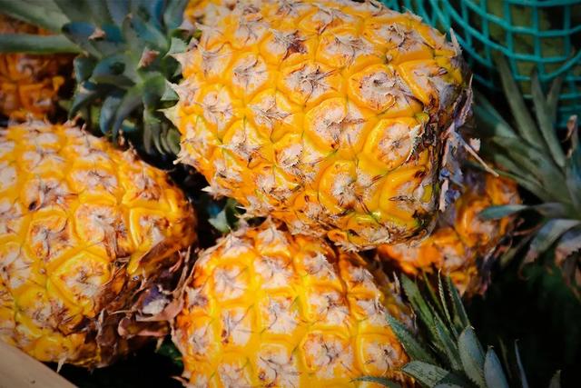 凤梨里面是籽还是虫，凤梨里面的是黑籽还是虫卵（现在还有多少人不知道菠萝和凤梨的关系）