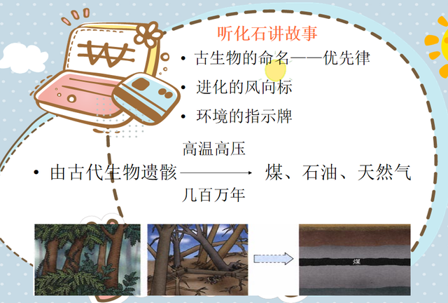 生物化石的形成过程，化石是怎么形成的（从地质年代表看生命的起源）