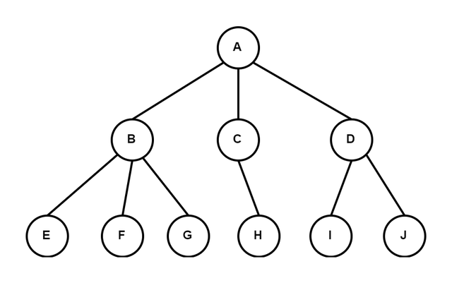 数据的基本单位，组成数据的基本单位是（数据结构知识详解）