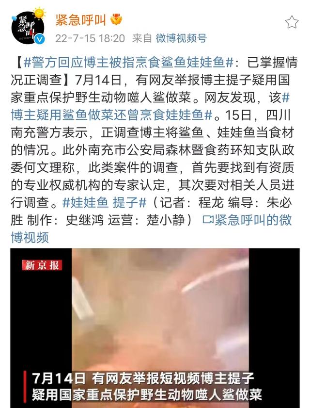 肥肥鲨，微信头像，肥肥鲨（被指吃相难看像恐怖片）