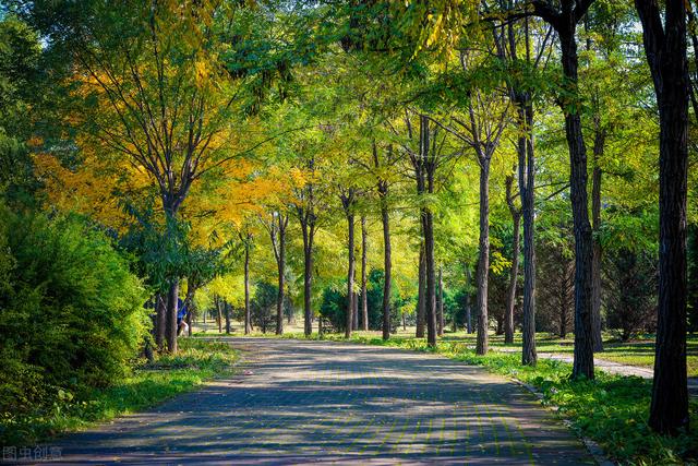 北京湿地公园有哪些景点好玩，北京公园推荐︱10个值得一去的免费公园