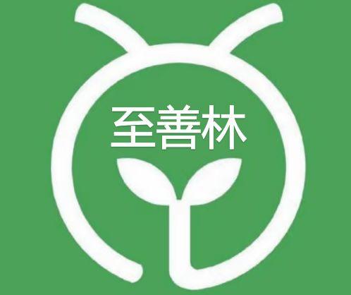 蚂蚁森林合种是什么 怎么与好友一起合种，蚂蚁森林合种是什么（蚂蚁森林合种冷杉带来的缘分之旅）