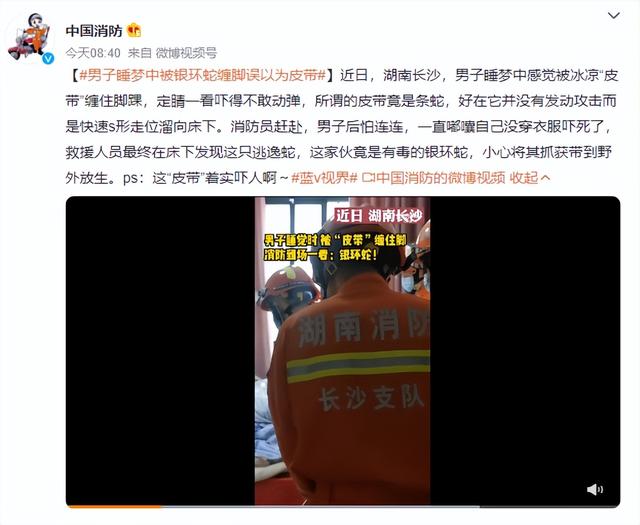 梦见蛇缠脚是什么意思，女人做梦梦到蛇缠脚是什么意思（男子睡梦中被银环蛇缠脚）