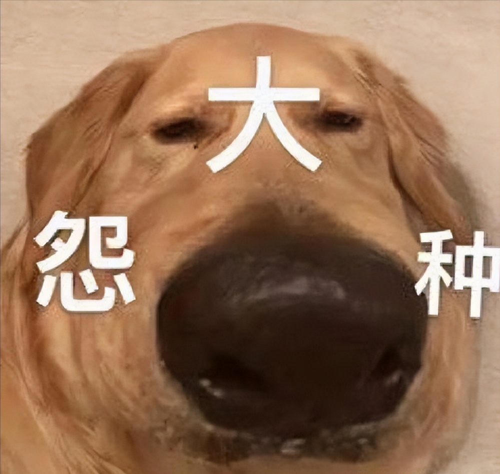 冤种是什么意思？最初出自东北地区的方言？