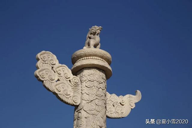 龙生9子为什么个个不同，龙生9子（龙生九子，为什么长得都不像龙）