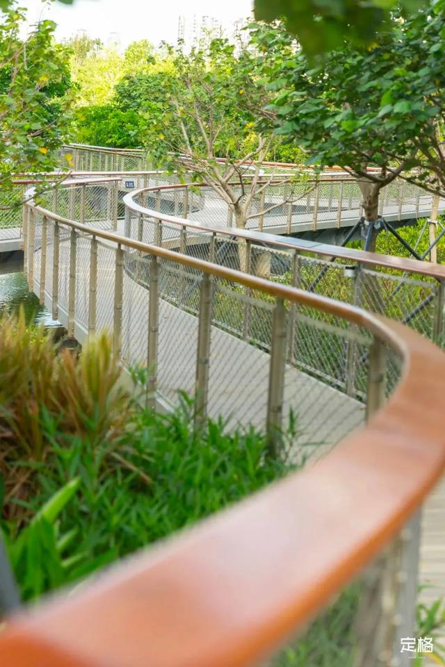 深圳好玩的免费景点，深圳哪里好玩的景点（来深圳这10个地方免费玩）