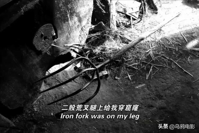 看过最污的电影，有哪些很“污”的电影（中国人羞于说出口的肉欲）