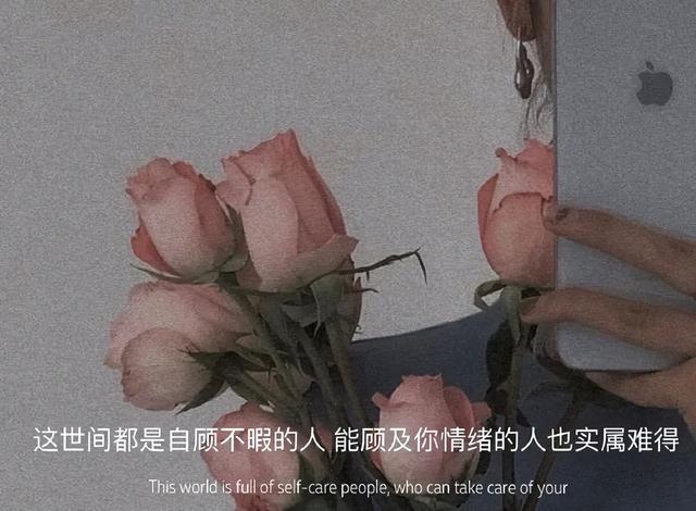 情感语录图，语录大全 情感（有点扎心的情感句）