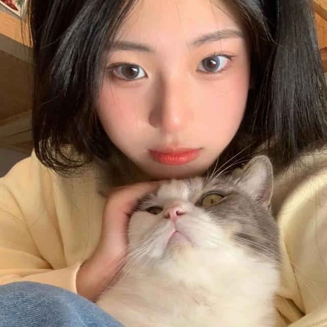 猫系女孩，微信头像，猫系女孩（女生头像：抱猫头像）