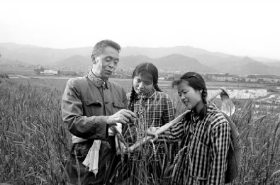 甘祖昌子女现状，甘祖昌的子女（不能躺在父母的功劳簿上）