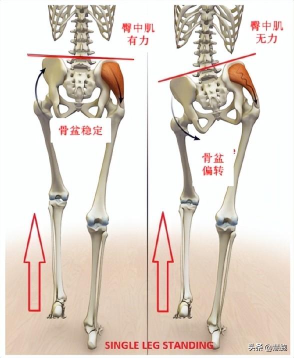 长跑训练注意事项，短跑训练注意事项（跑者常常忽视这三个部位的训练）