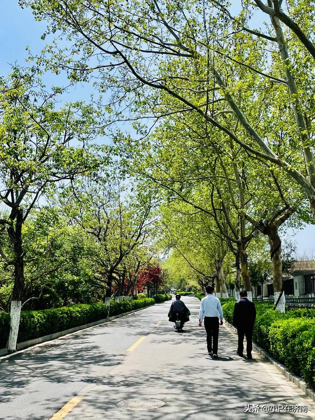 简历里的紧急联系人写谁，紧急联系人，你真的会填吗