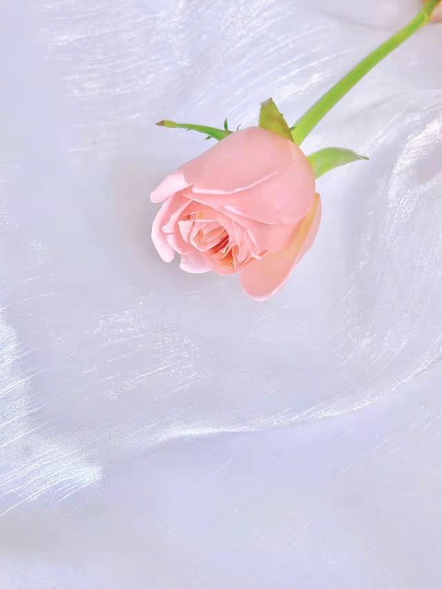 关于爱情的文案，爱情文案短句干净治愈（原来真正的爱情本身就是浪漫）