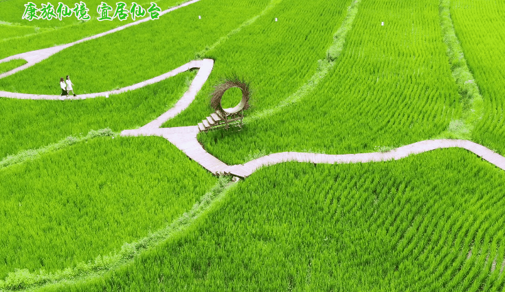 汉中旅游景点排名推荐，汉中旅游景点大全排名榜（在汉中一年四季可以这样玩 →）