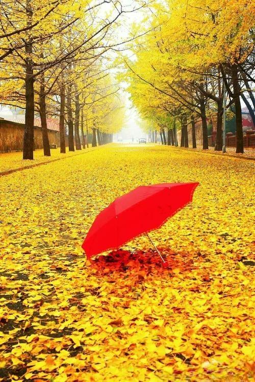 关于安静的心情的散文，散文《安静》（余生做一个温柔而安静的人）