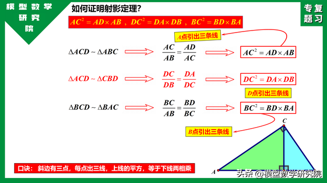 什么是数学上的射影定理，中考专题：射影定理小常识