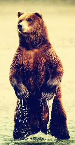 从容不迫的反义词，从容的反义词（气定神闲 道真）