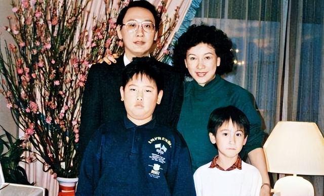 汤臣一品老板是谁,汤臣一品房价多少钱一平(汤珈铖的人生有多坎坷)