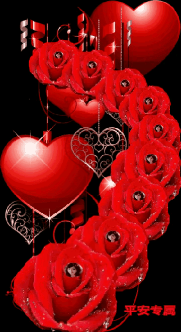 999朵玫瑰，送你999朵动态玫瑰花（999朵玫瑰邰正宵）