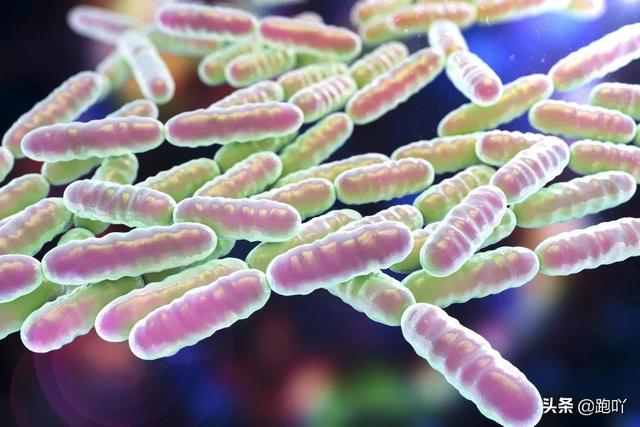 女人运动出汗的好处，女人运动出汗的好处跑步可以改变心态吗（跑步时出汗多太讨厌）