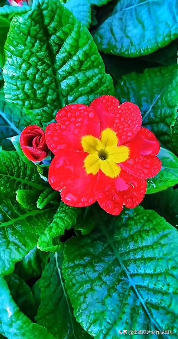 美美美的，美美美的表情包（壁纸美图）