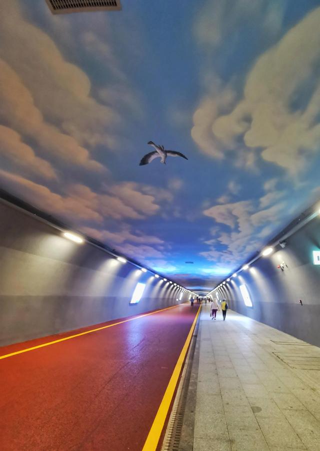 珠海属于哪个市，珠海属于哪个市哪个城市（干净又浪漫的年轻城市——珠海）