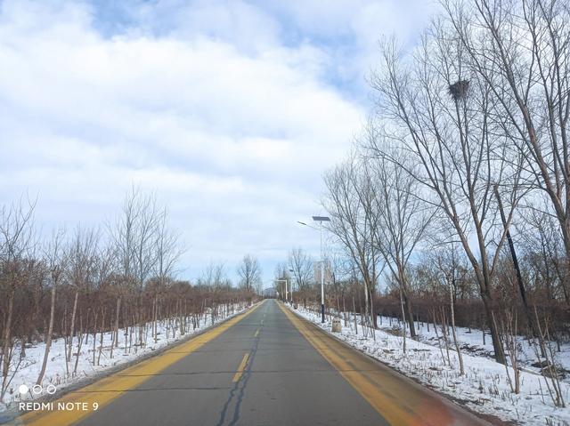 阅读理解的技巧和方法，阅读理解的技巧和方法有哪些（读《高效阅读》分享五种阅读方法）