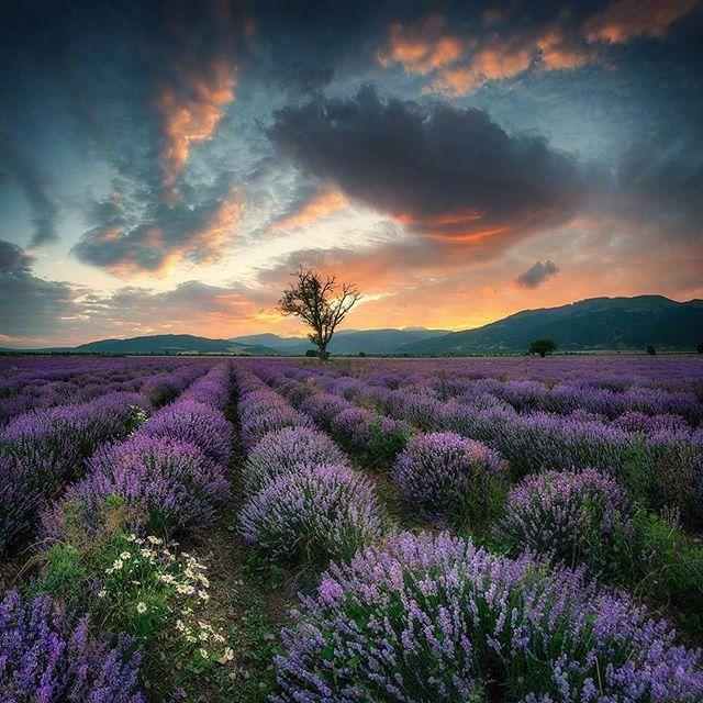 生活压力感悟经典句子，生活的压力经典句子（释放压力的人生哲理语录）