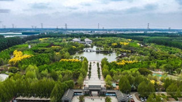 来津北森林公园，静享天然“氧吧” 一起“森”呼吸……