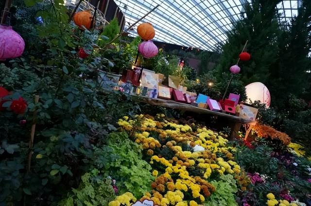 太原旅游景点，太原旅游景点排名前十（山西太原这些地方藏着冬日美景）