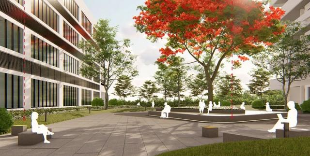 肇庆新区学校规划图，肇庆一批新建、扩建学校即将投入使用