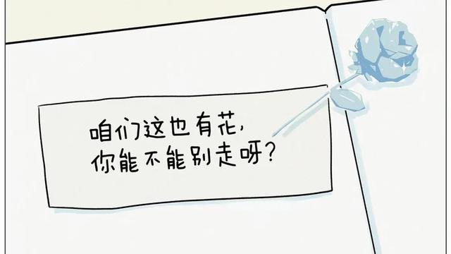玄学相关书籍，玄学大合集，一次看过瘾