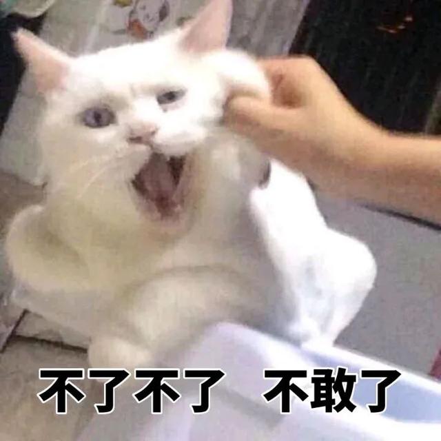 斗图专用，斗图专用表情包熊猫头（表情包，斗图专用表情）