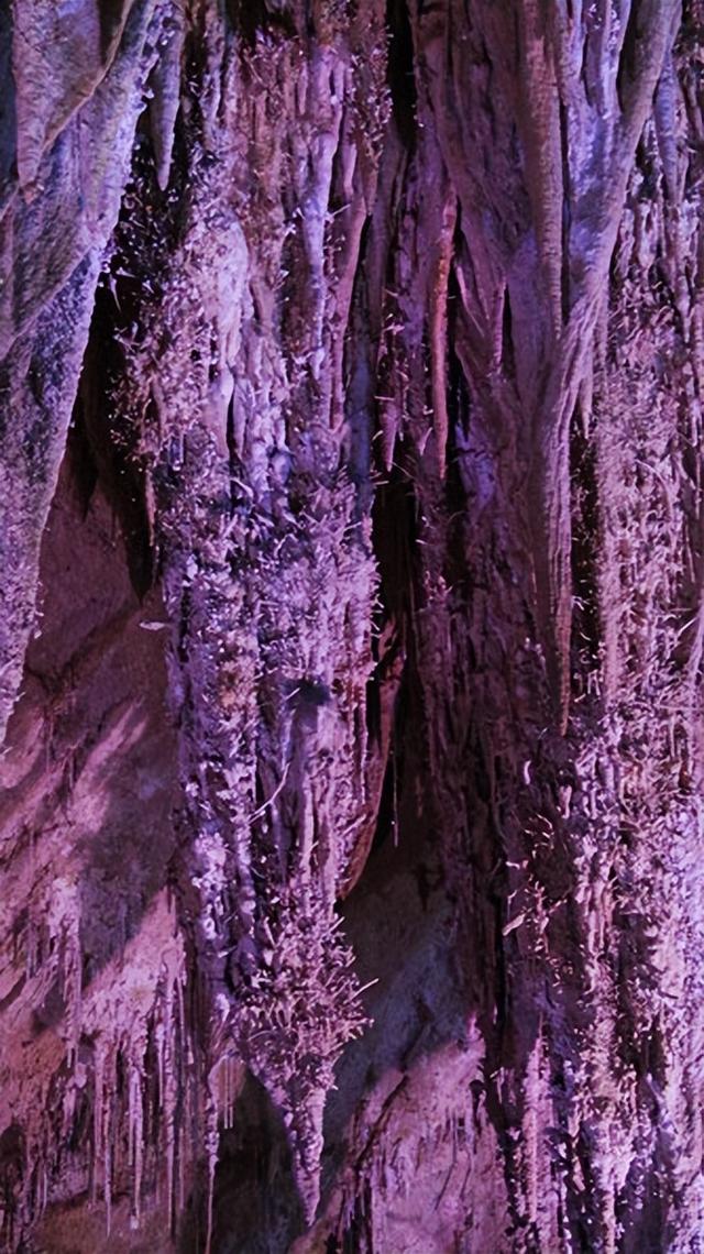 张关水溶洞是怎样形成的，张关水溶洞在什么地方（重庆溶洞之旅，探秘地心之奇）