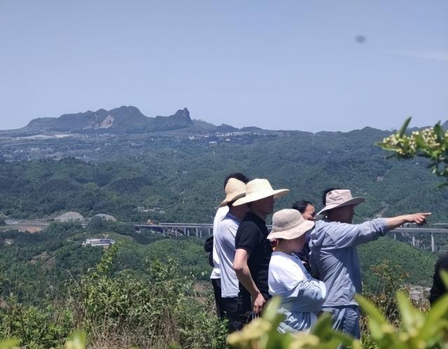 中国易学大师排名，中国易学大师排名肖金满（天乙派王恺崧荣获2022年度首届全网“民间顶级风水易学专家”亚军）