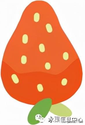 浆果是什么，浆果是什么软件（不同水果的不同包装<浆果篇>）