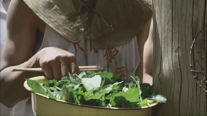 戍边是指哪些地方，戍边是什么地方（新疆生产建设兵团，有多强大）